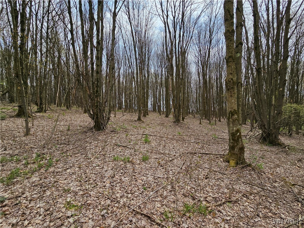 Property Photo: 11 Trail Heights NY 14731