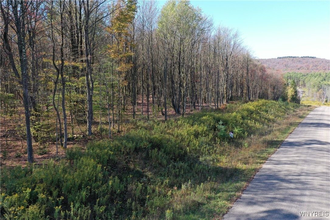 Property Photo: 11 Trail Heights NY 14731