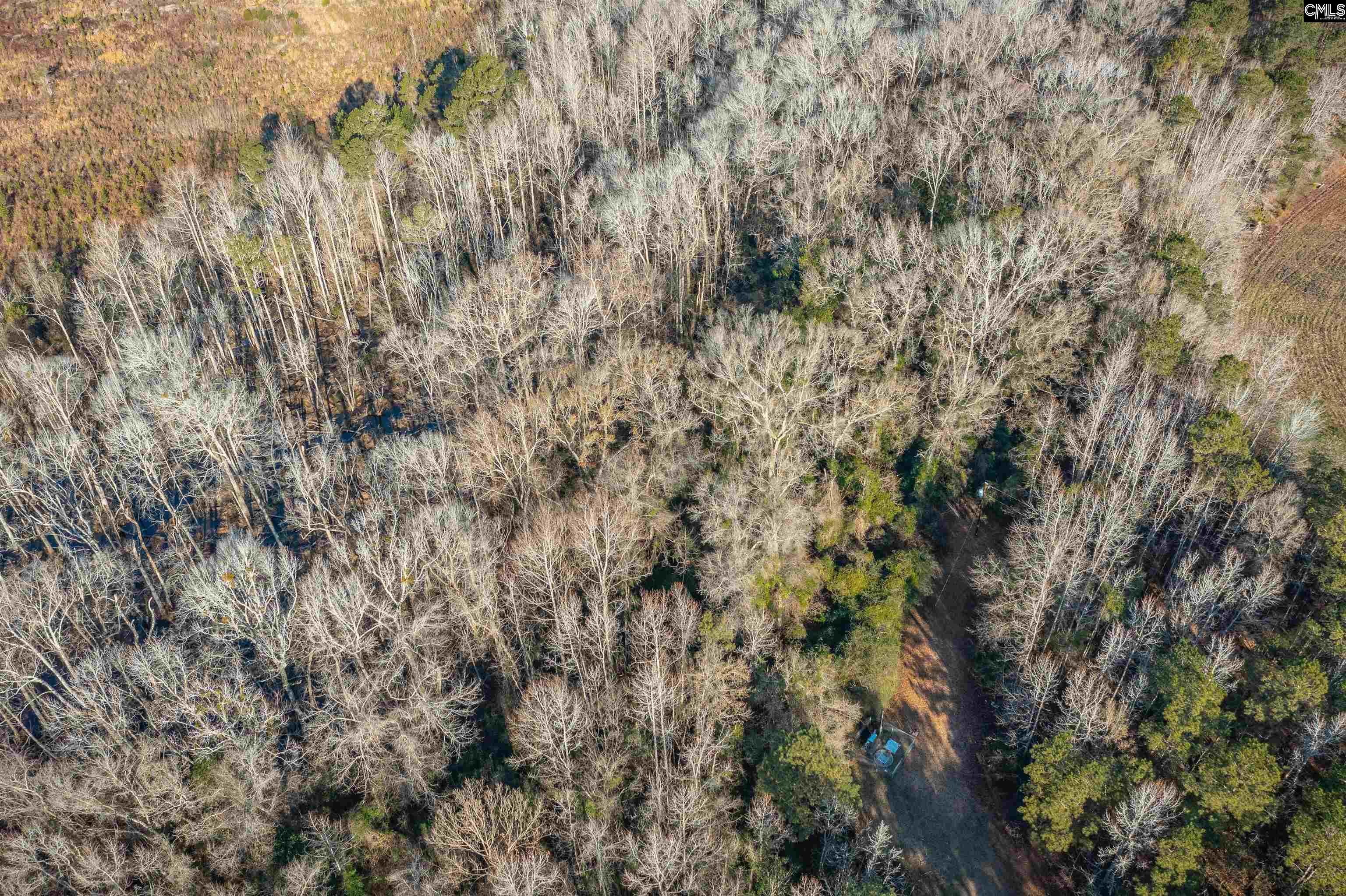 Property Photo: 214 Sunny Acres SC 29044