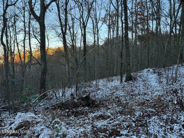 Property Photo: Lot 2 High Ridge Way TN 37862