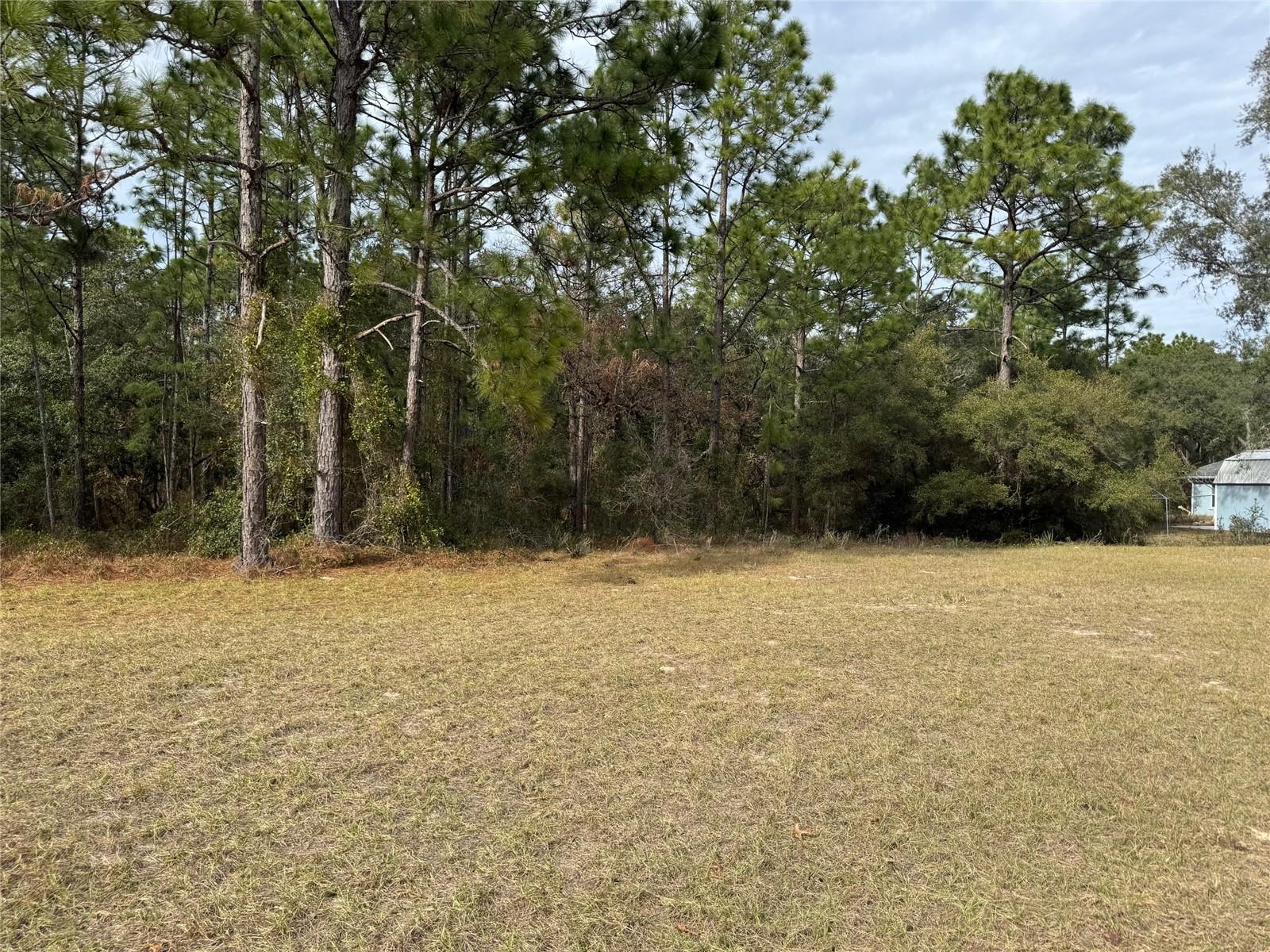 Property Photo:  Lot 9 SW 61st Avenue Road  FL 34473 
