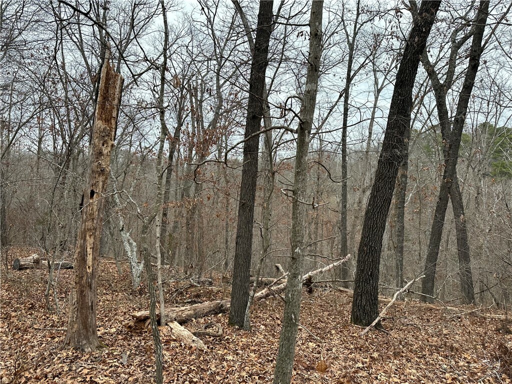 Property Photo: Churchill Drive AR 72715