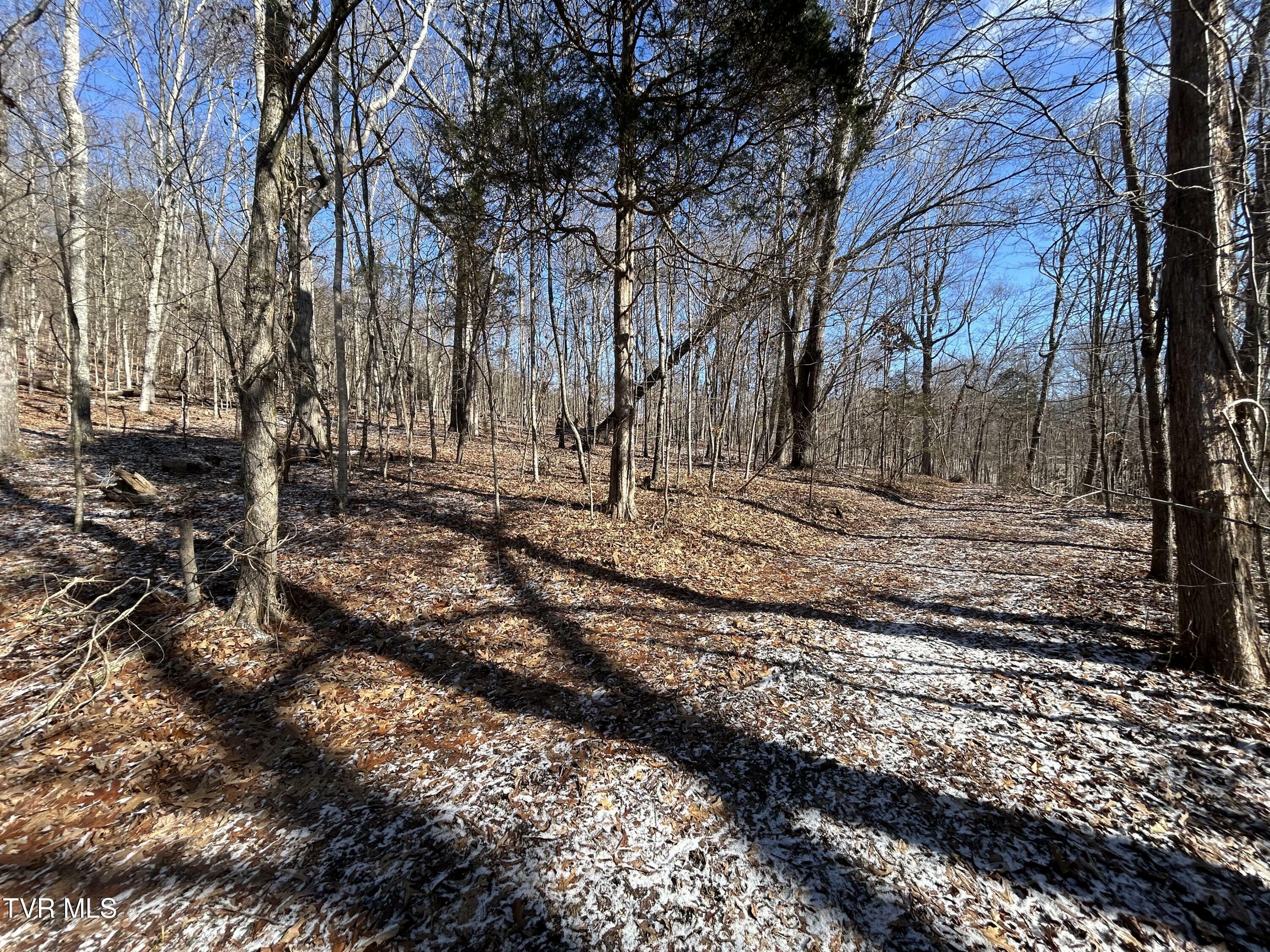 Property Photo:  Tbd Carters Valley Loop  TN 37857 