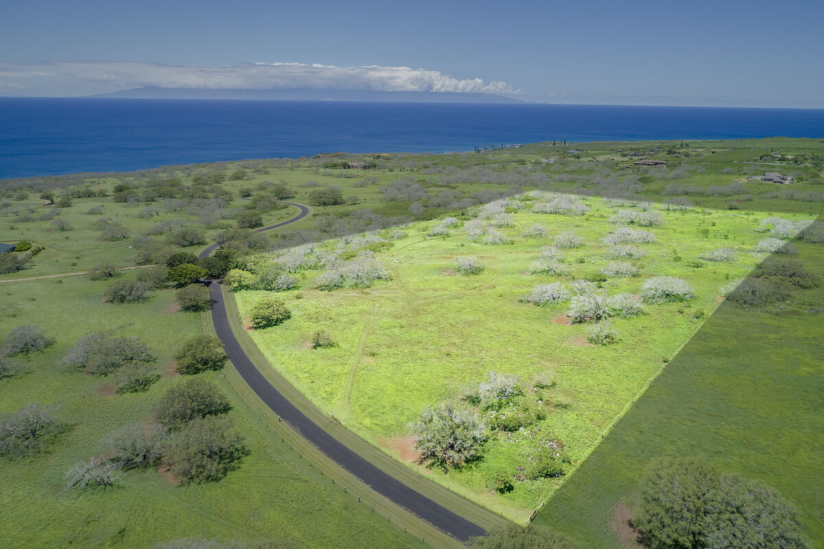 Property Photo: 56-135 Pualani Rd HI 96719