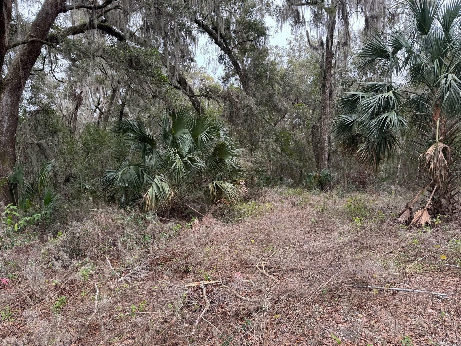 Property Photo:  Strickland Avenue  FL 32763 