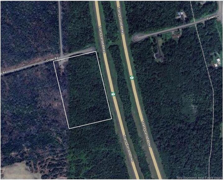 Lot Critter Road — photo 1