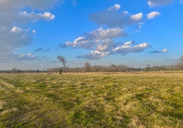 Property Photo:  00 Taylor Bridge  GA 30701 