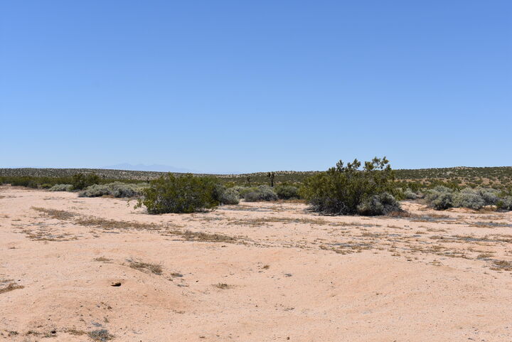 Property Photo: 230th St E And Ave B8 CA 93535