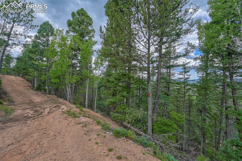 251 Osoeola Road  Woodland Park CO 80863 photo