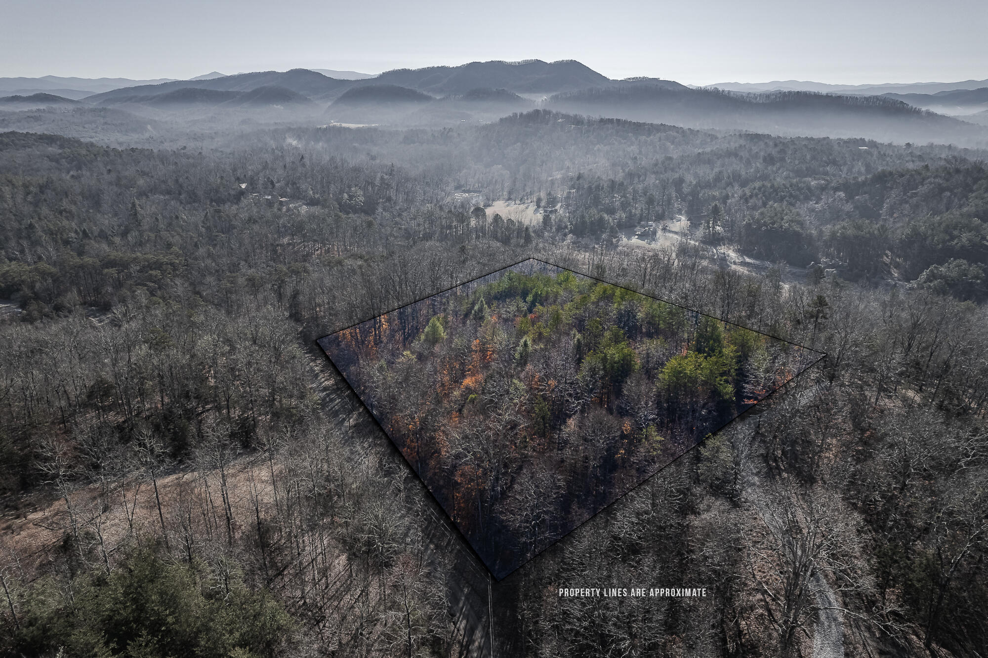 00 Tellico Camp Road  Madisonville TN 37354 photo
