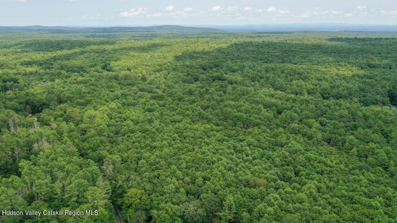 Property Photo: 00 John Joy Road Lot 2 NY 12498