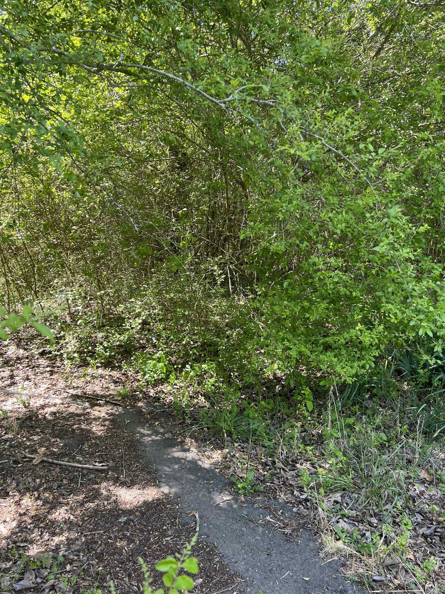 Property Photo: 508 N Center AR 72543