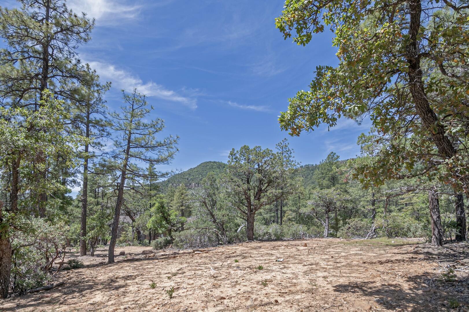 Property Photo:  4521 N Pine Hollow Trail  AZ 85544 