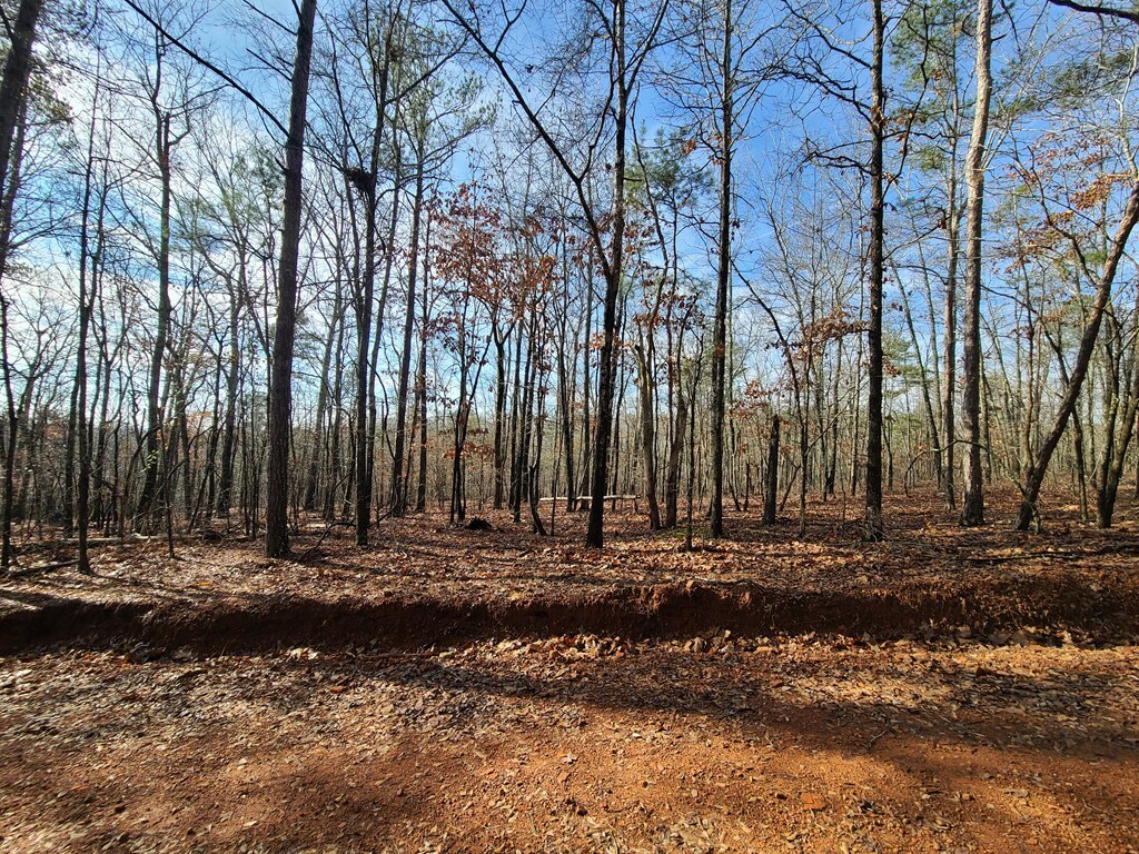 Property Photo:  Blk 34 Lot 6 Juniper Way  GA 31831 