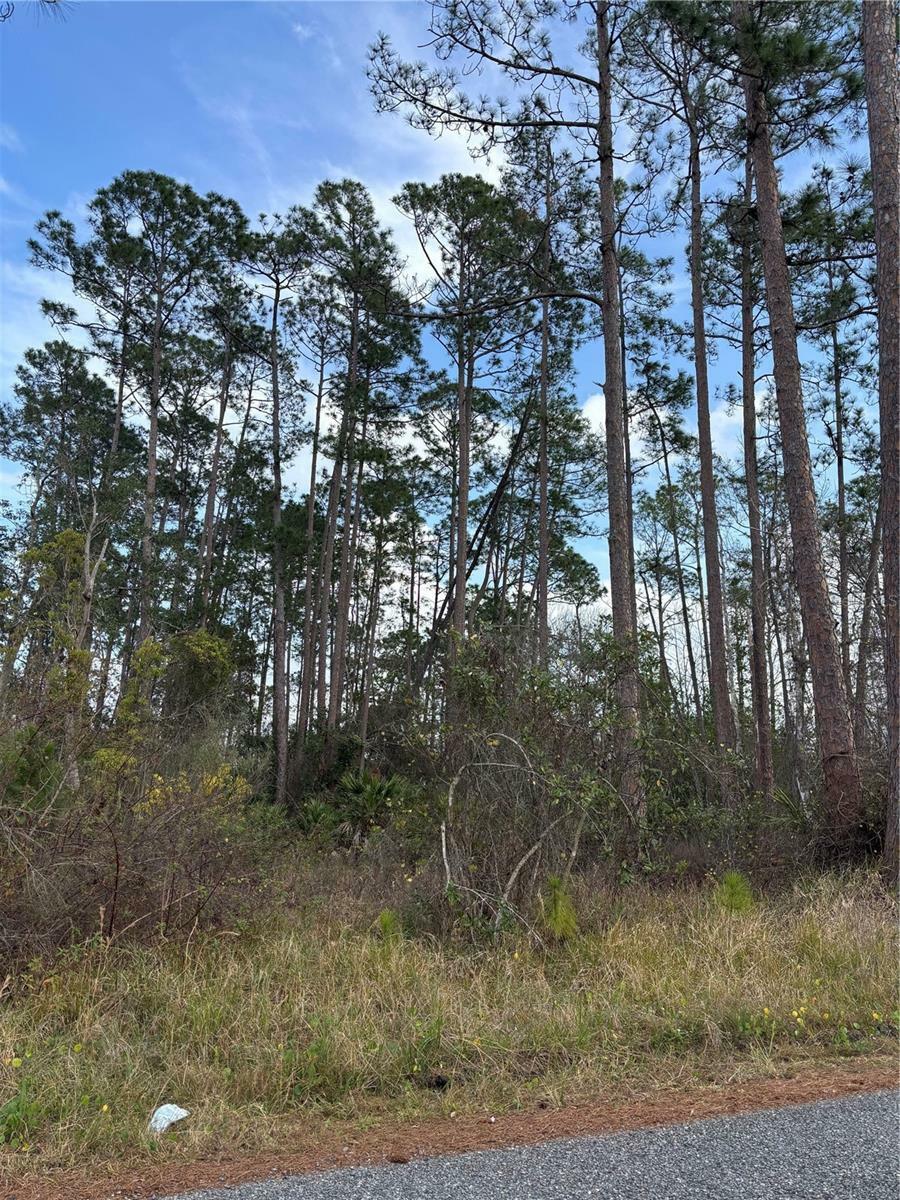 Property Photo: 5th Avenue FL 32724