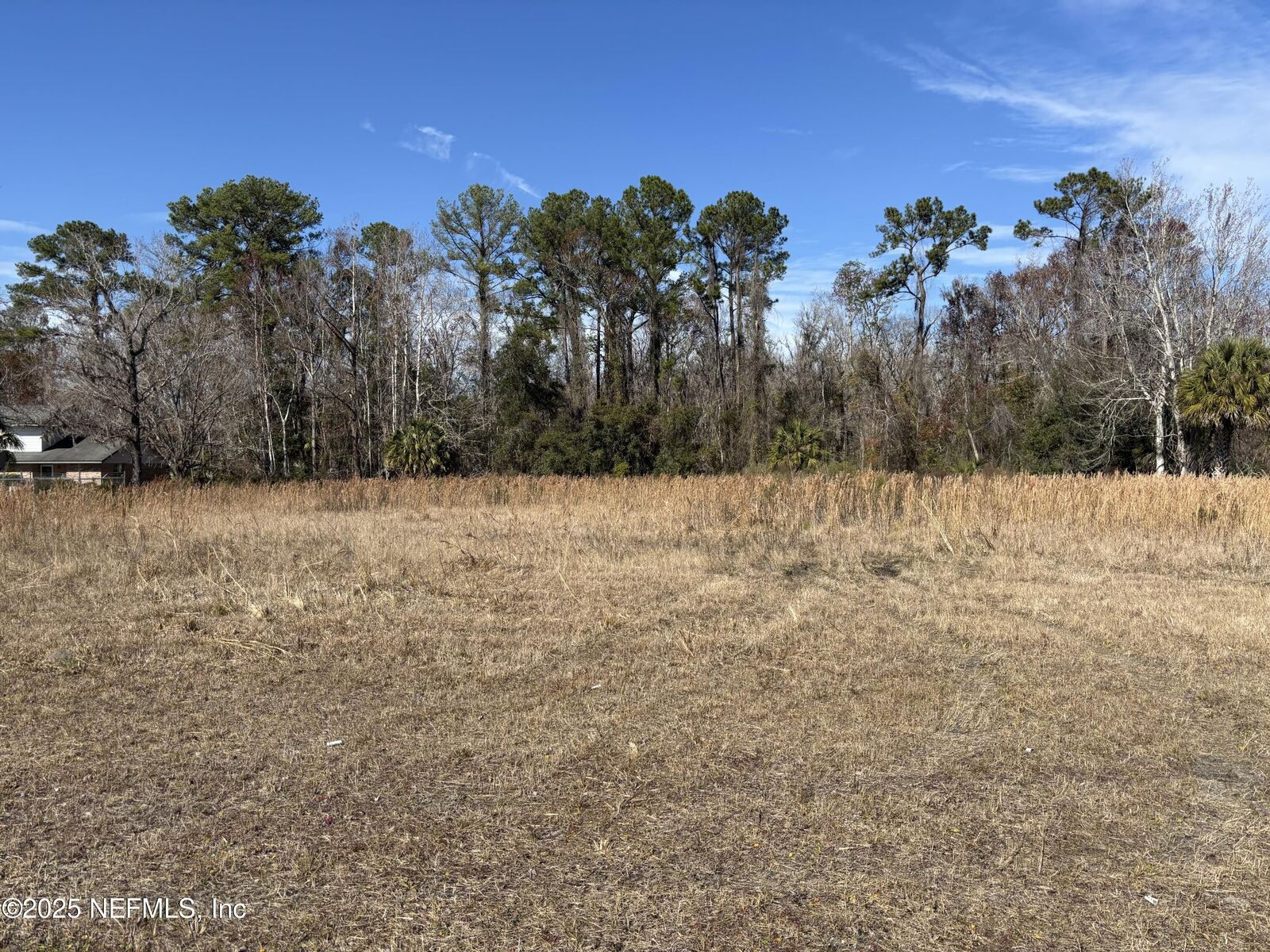 Property Photo:  1000 Cooks Lane  FL 32043 