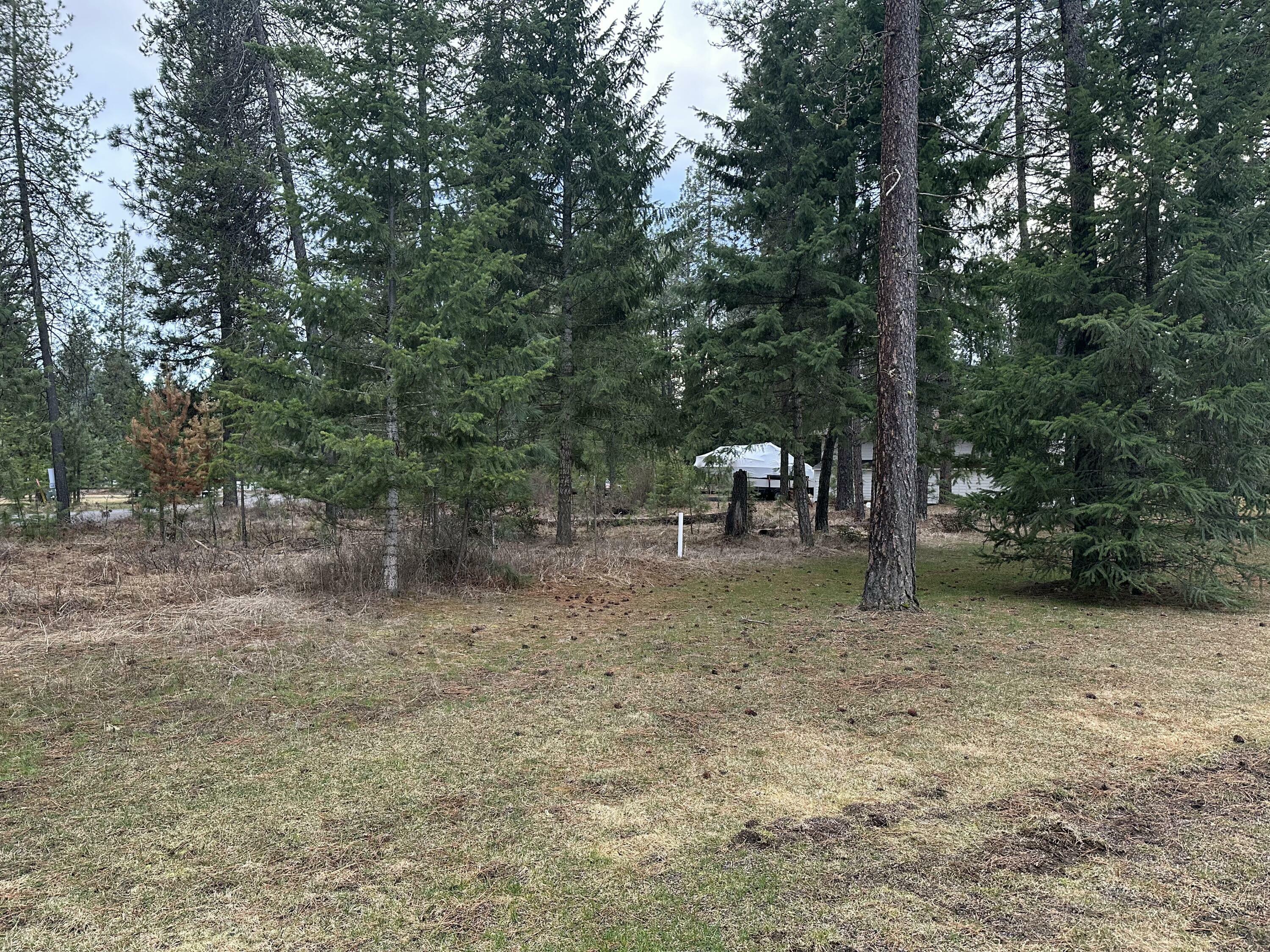 Property Photo: 102 W Trappers Loop WA 99109