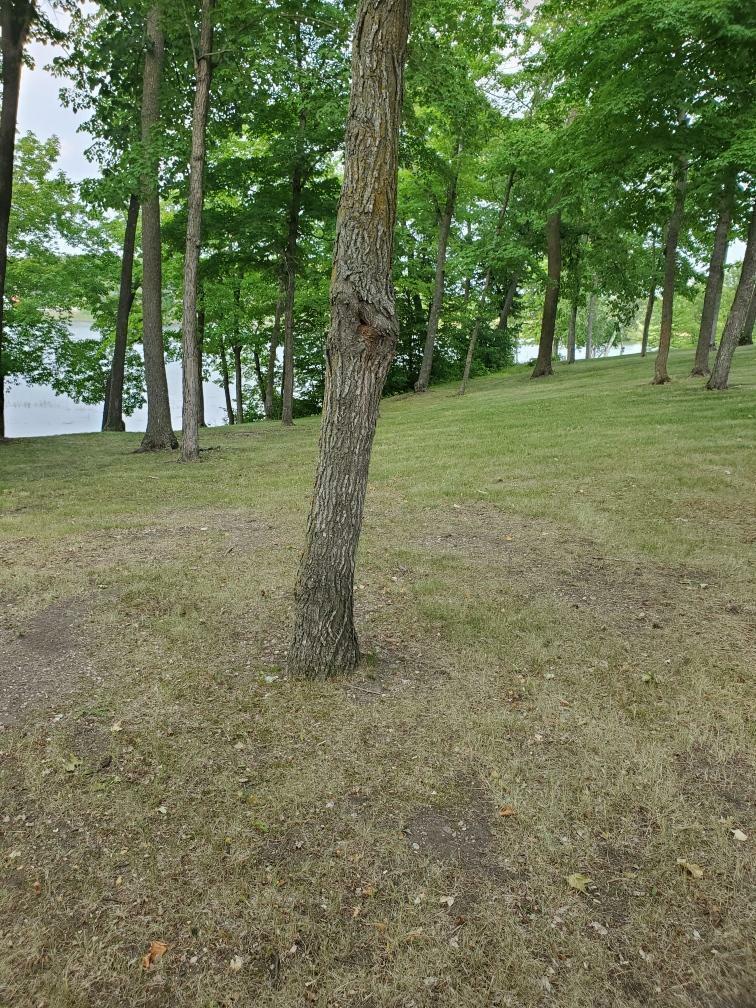 Property Photo:  509xx Fish Lake Road  MN 56501 