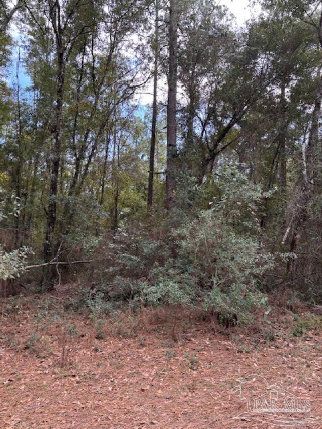 9500 Blk Bridlewood Rd  Pensacola FL 32526 photo