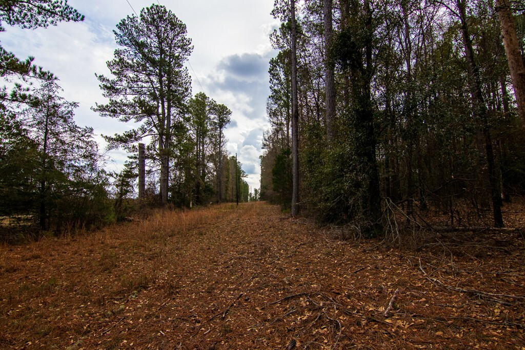 Property Photo:  0 Salem Road  GA 31822 