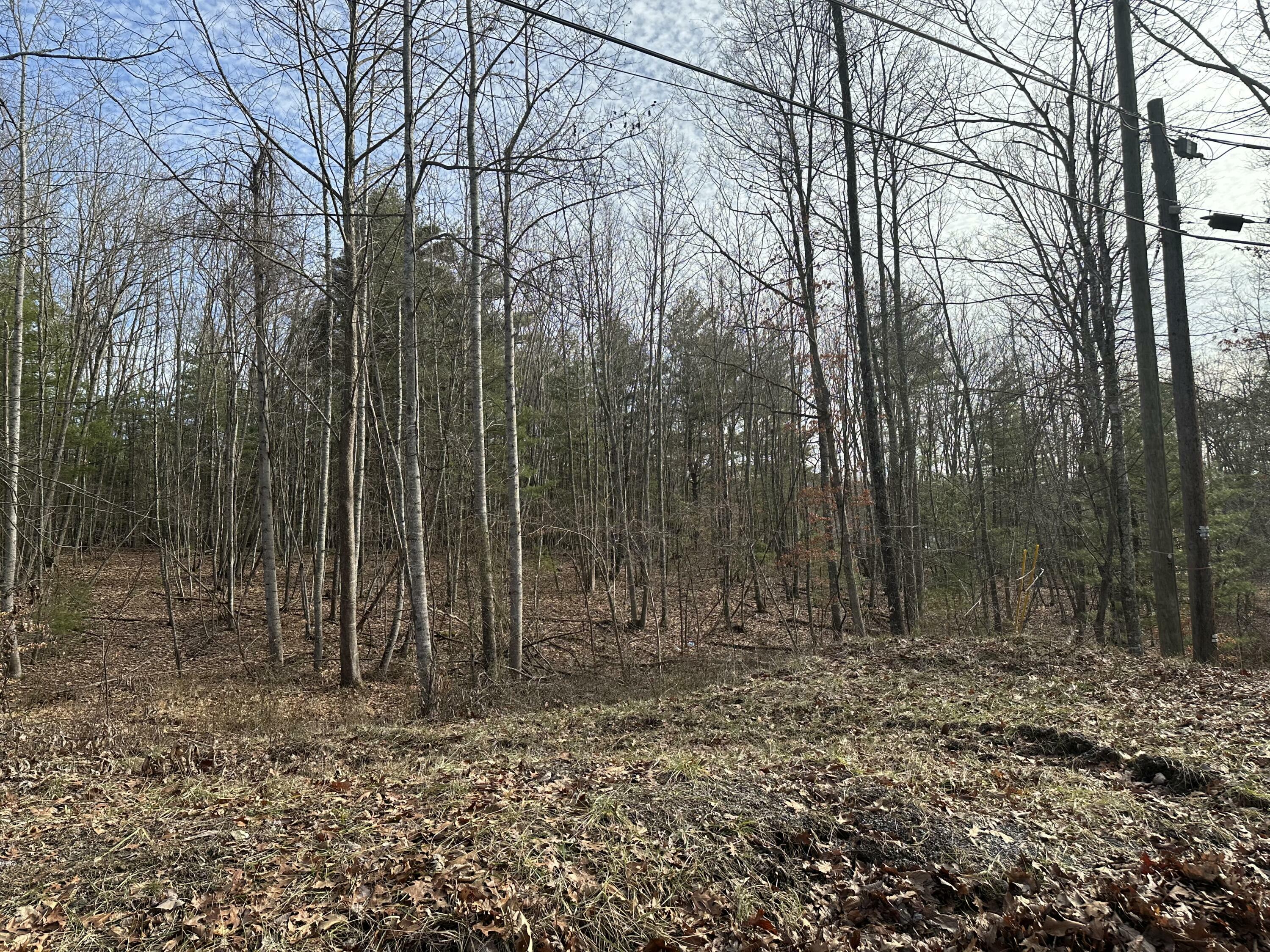 Property Photo:  Lot 2 Rt. 1 Muddy Creek Mountain  WV 24910 