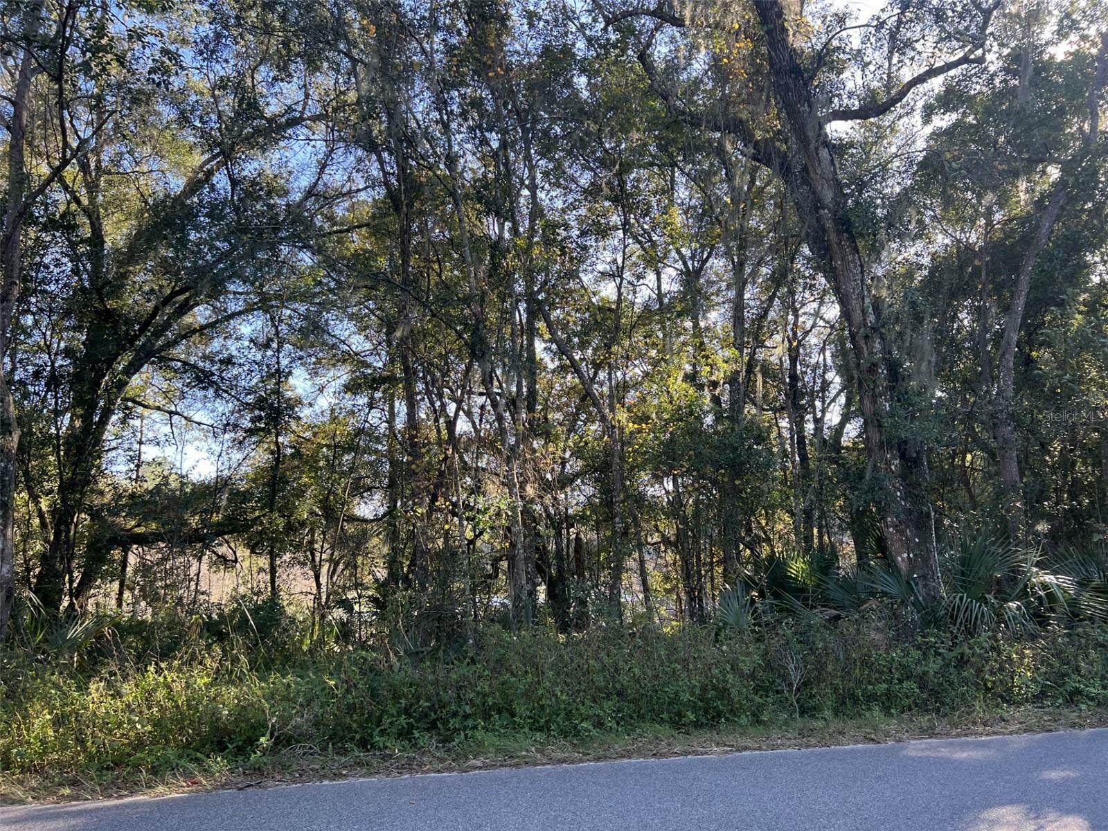 Property Photo:  E Ohio Avenue  FL 32744 