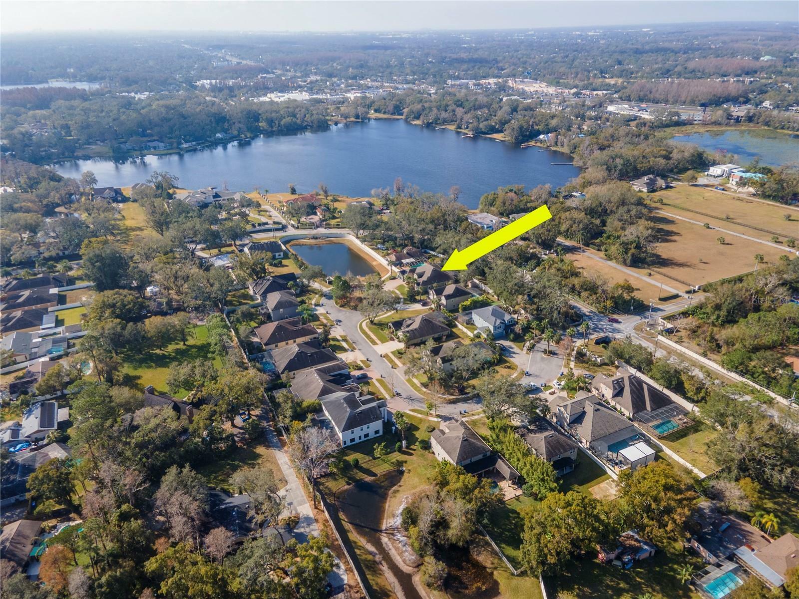 Property Photo:  13904 Shadow Tree Lane  FL 33618 