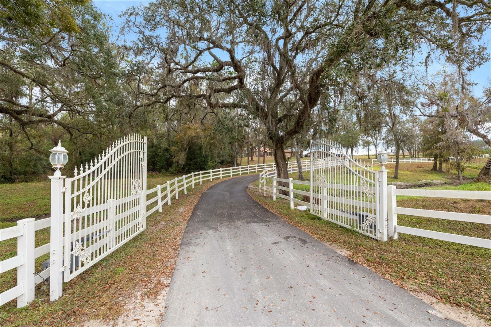 Property Photo:  34051 Kiefer Road  FL 33525 