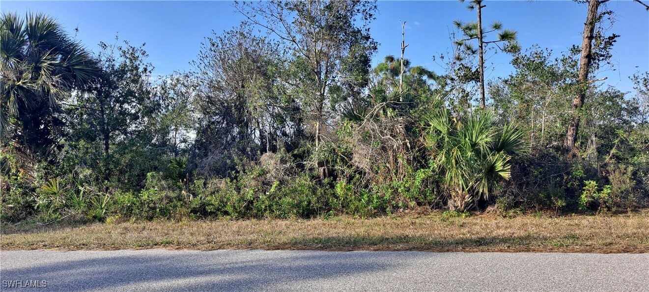 Property Photo:  12392 Altamira Avenue  FL 33981 