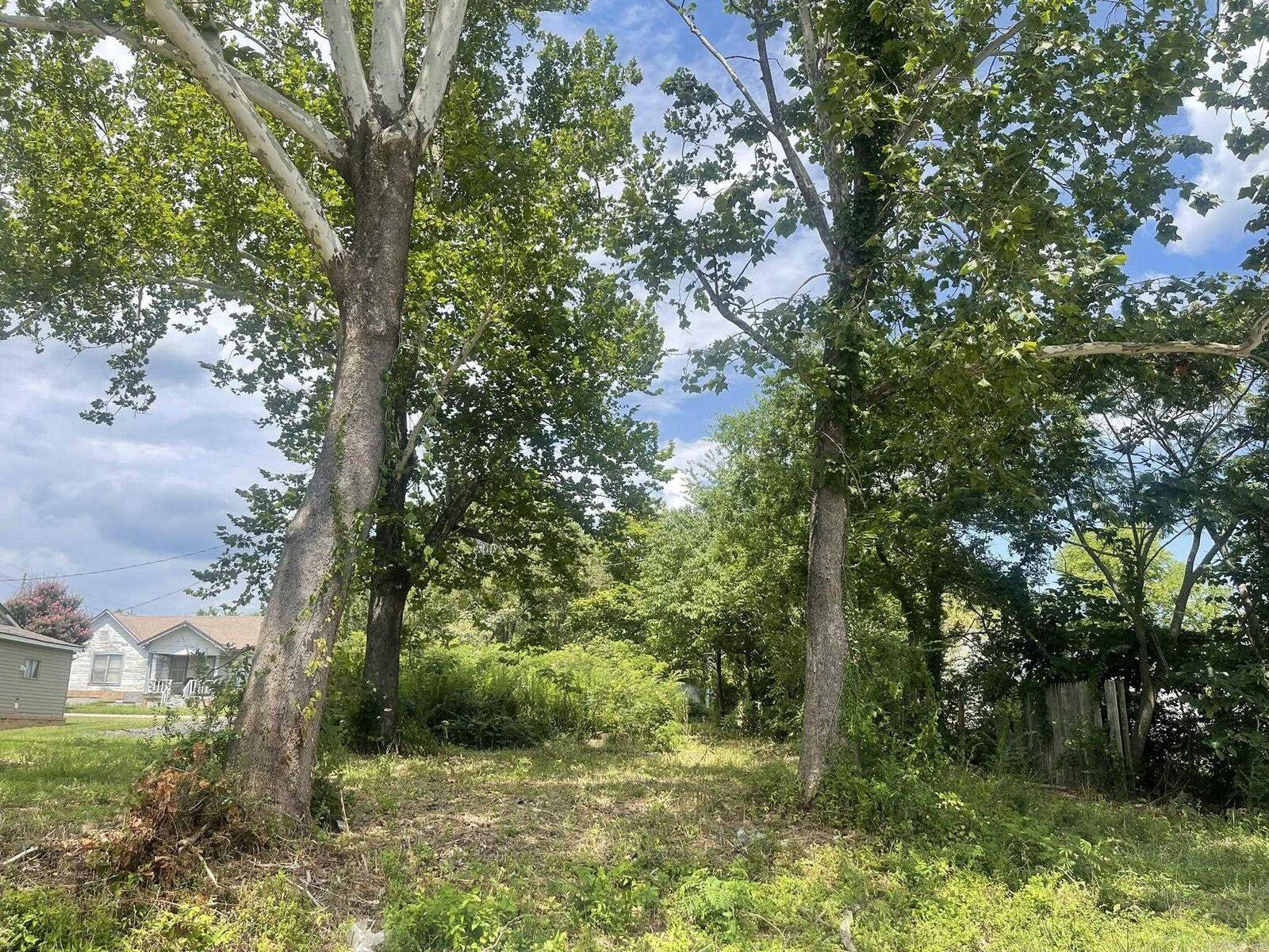 Property Photo: 906 Elm Avenue AR 71953