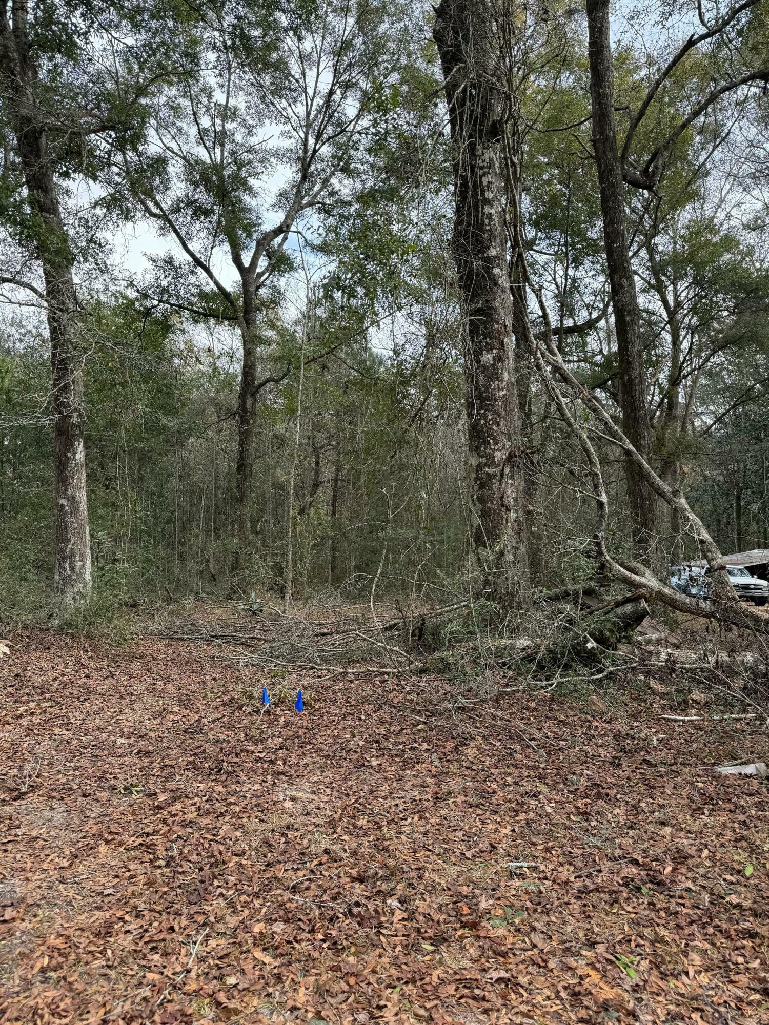 Property Photo: 213 Tubbs Lane FL 32439