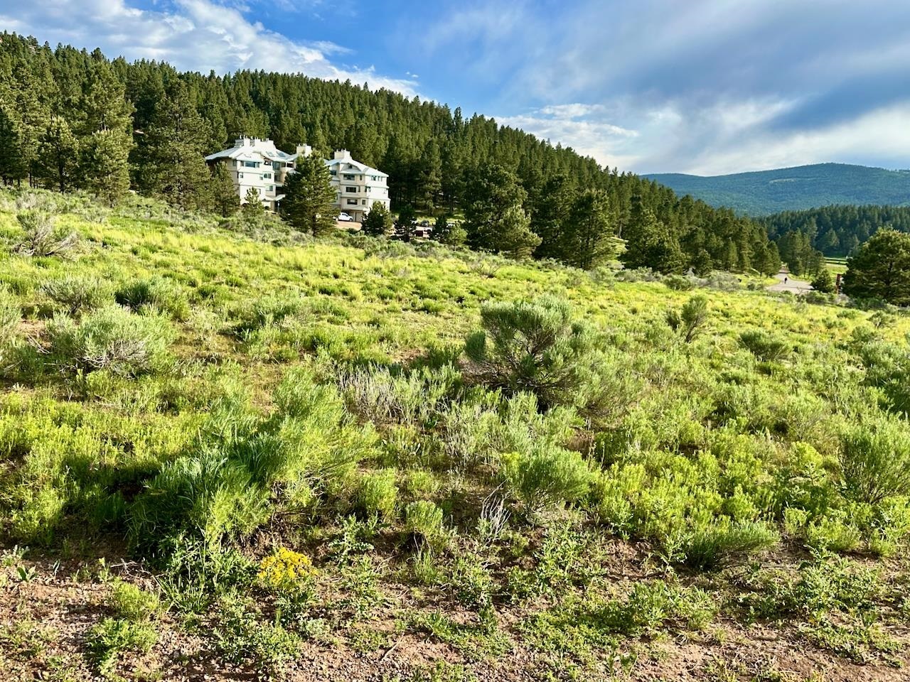 Property Photo: Blk F 2 Thru 8 Squaw Valley Lane NM 87710