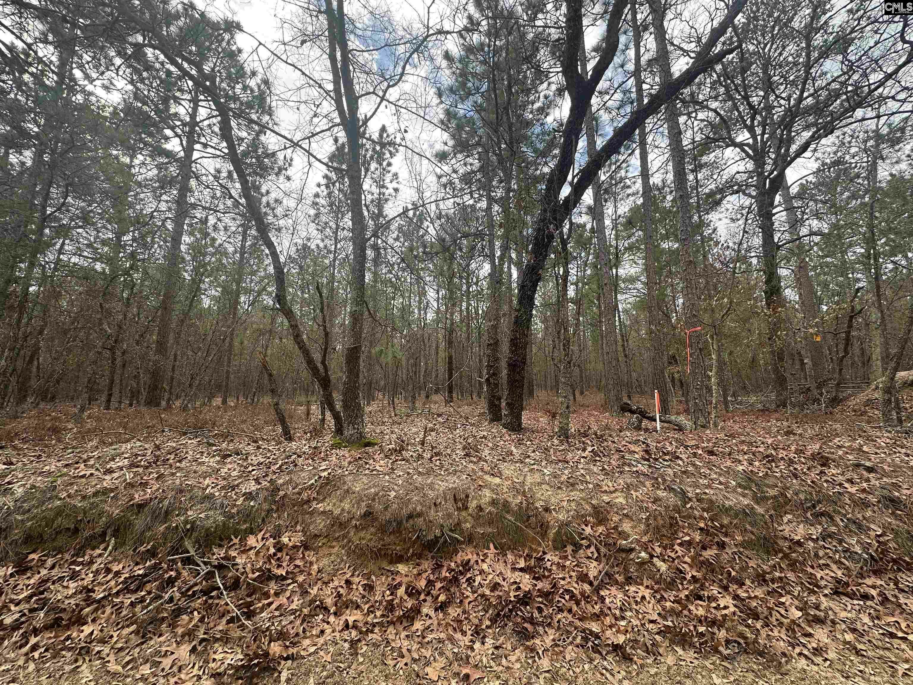 Property Photo:  0 Gantt Mill  SC 29070 