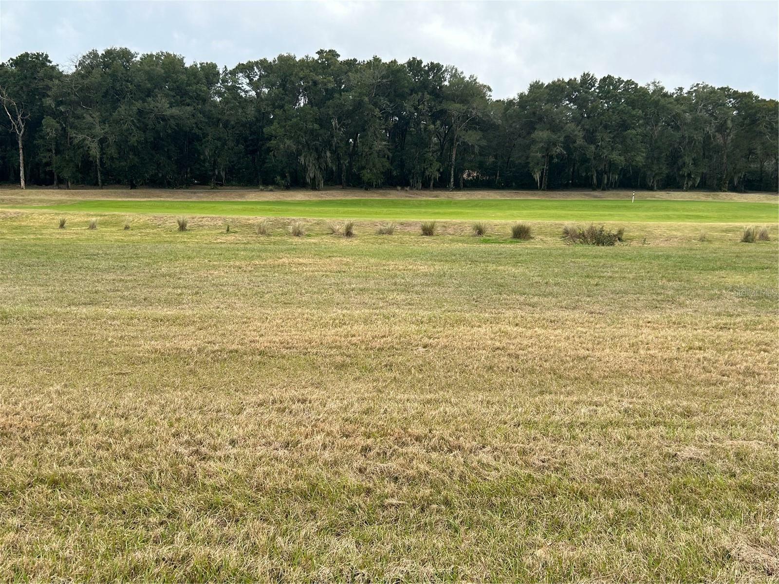 Property Photo: 31771 Red Tail Boulevard FL 32776