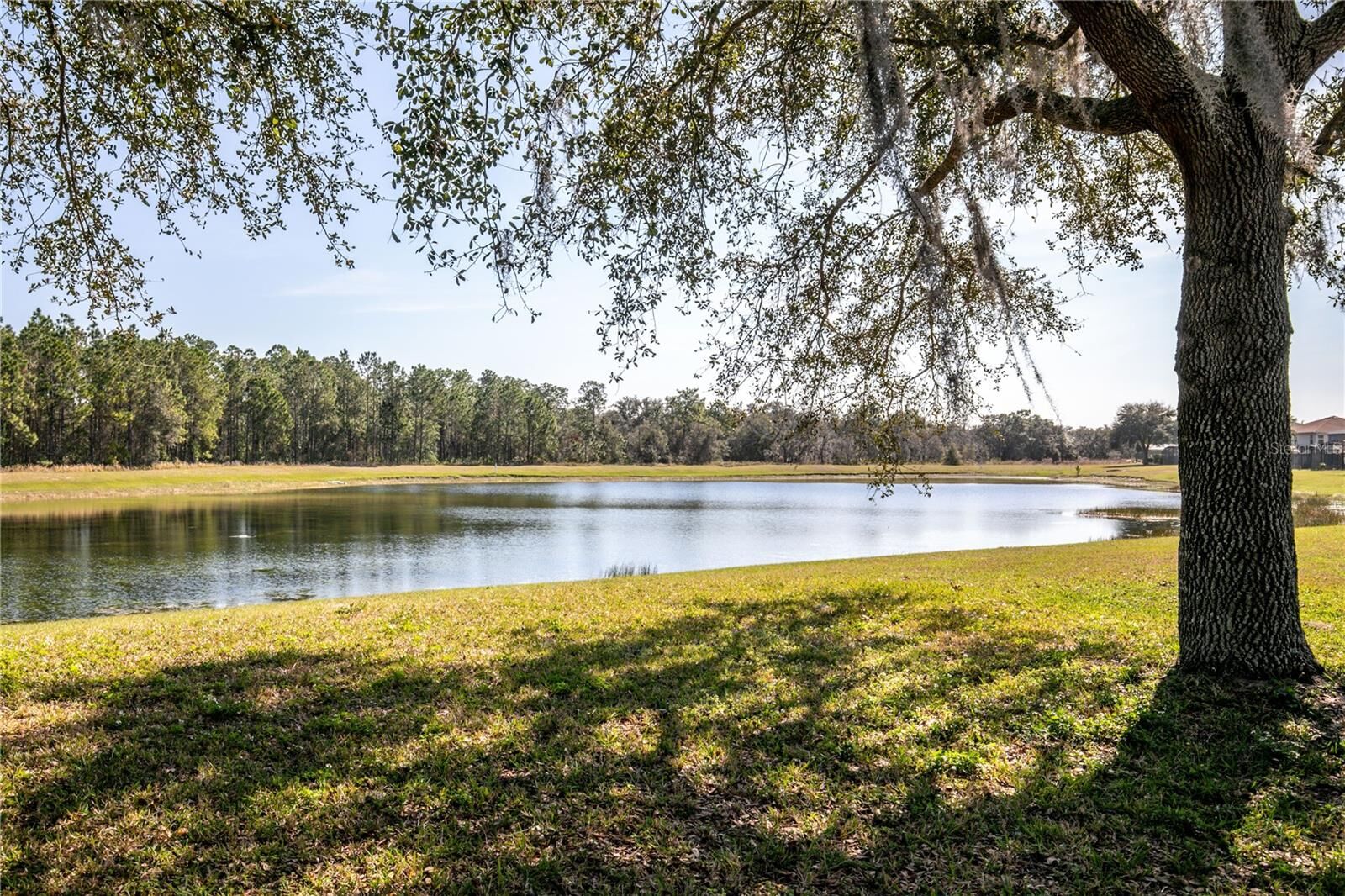 Property Photo: 16825 Sunrise Vista Drive FL 34714