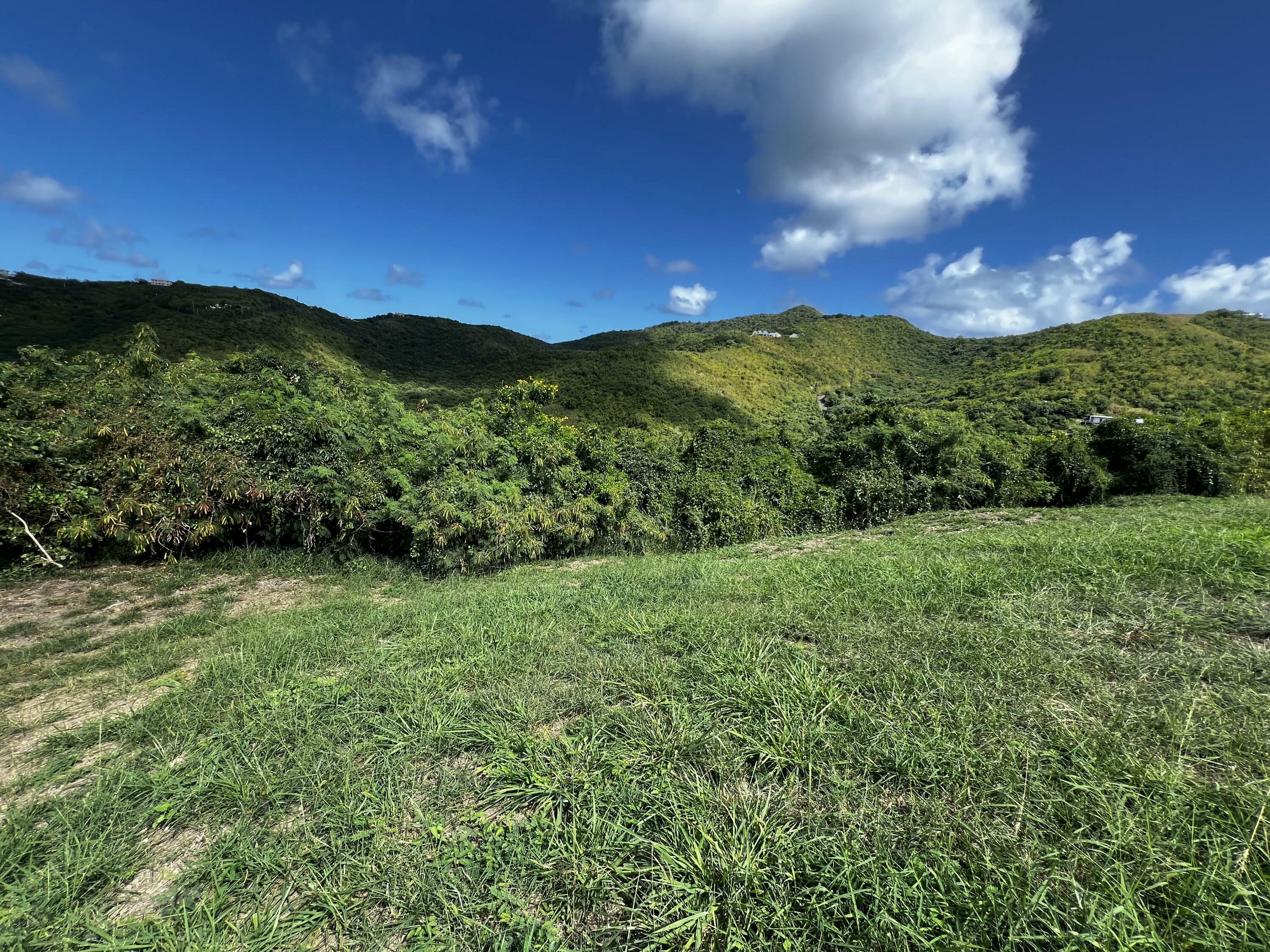 Property Photo: 178-A Union & Mt. Wash Ea VI 00820