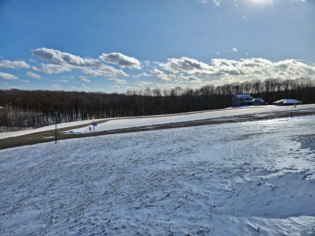 Property Photo: Lot 3 Lucille Lane WI 54456