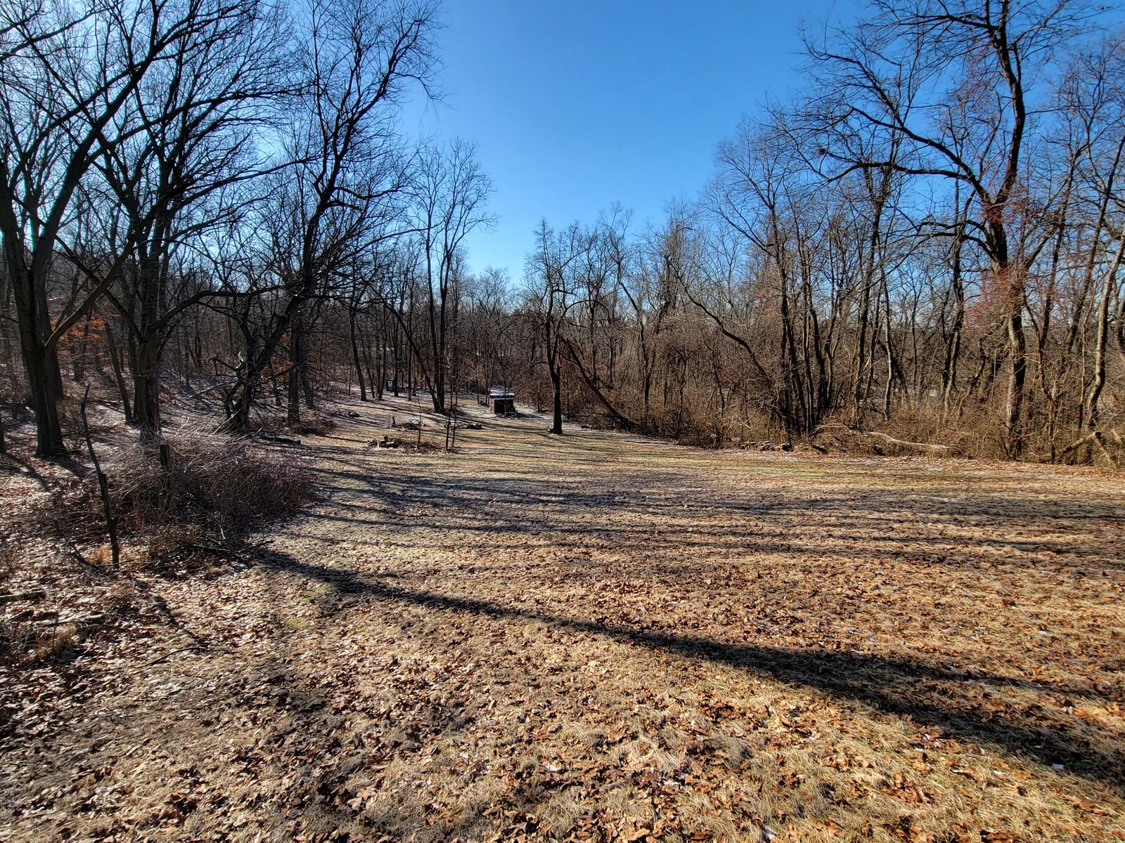 Property Photo:  4978 W Schultz Road  IN 46350 