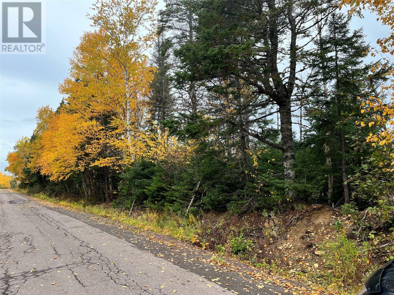 Property Photo:  322 Main Street  NL A0G 3N0 