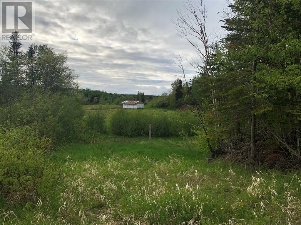 Property Photo:  Lot#2-6 Upper Tranquil Waters Road  NL A8A 1Z4 