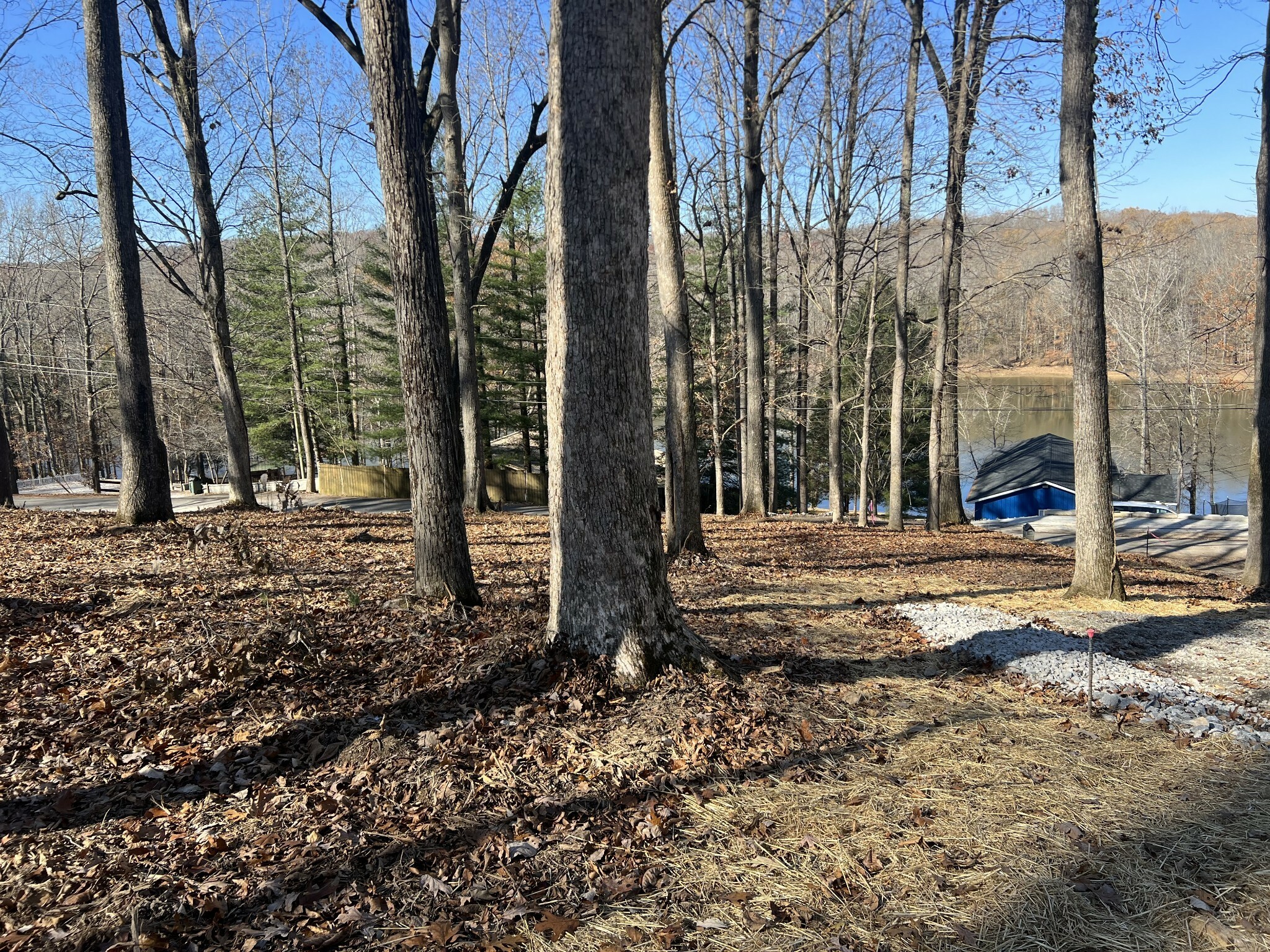 Property Photo:  116 Hickman Shores Rd  TN 37058 