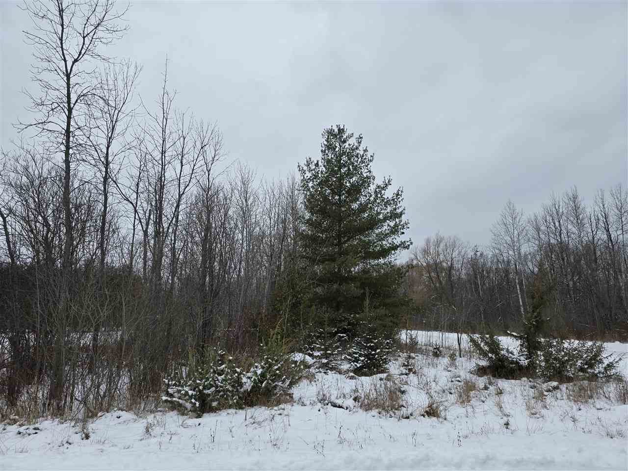 Property Photo: Tbd N E Lot #8 MI 49721