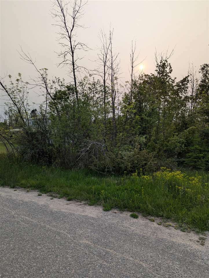 Property Photo: Tbd N E Lot #8 MI 49721