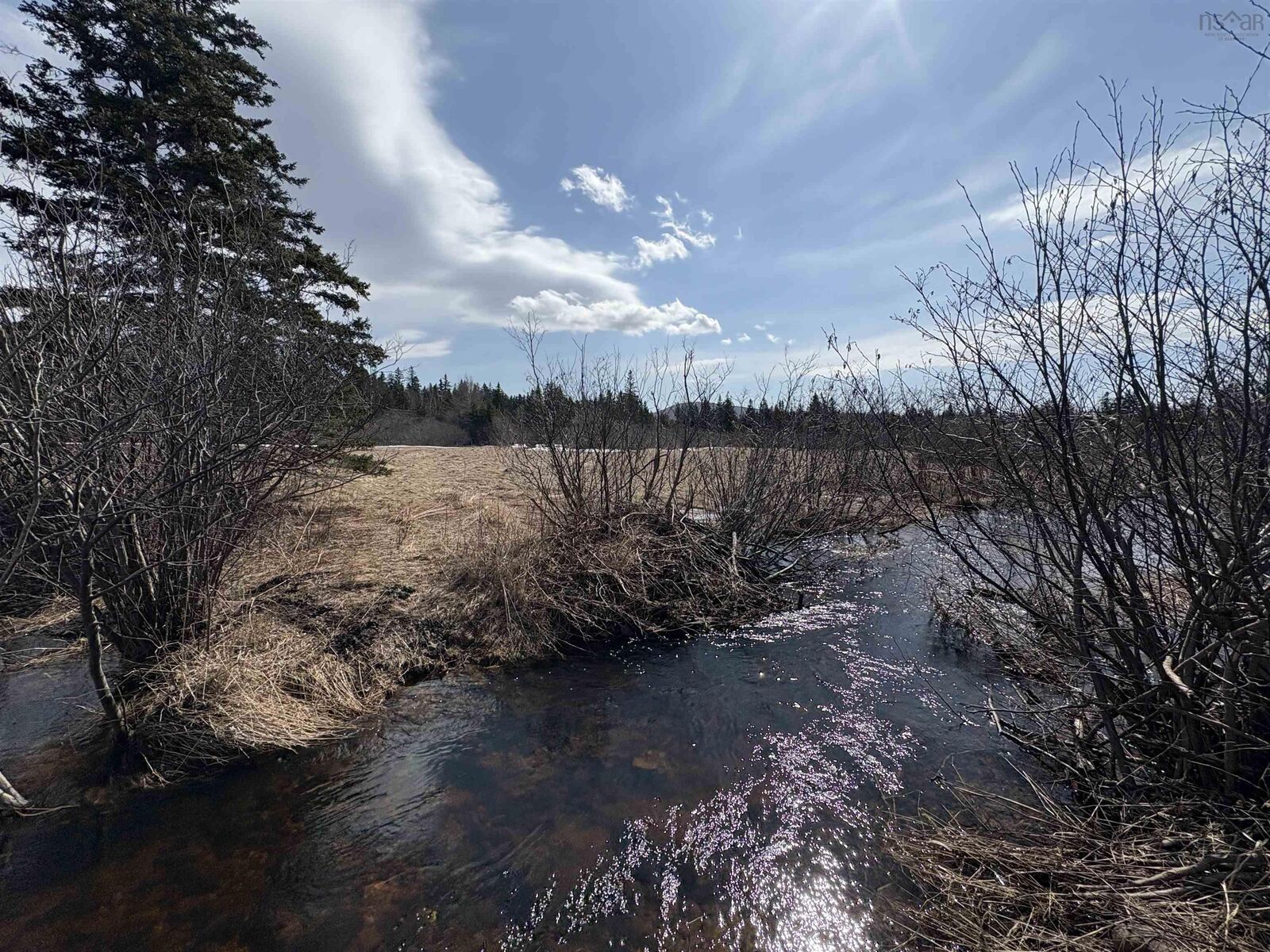 Property Photo:  0 East Big Intervale Rd. Roads  NS B0E 2H0 