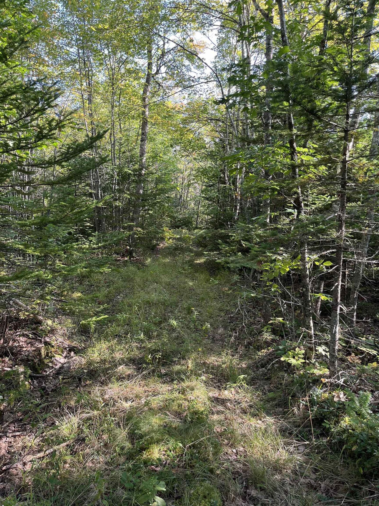 Property Photo:  Lot Highway 10  NS B0R 1H0 