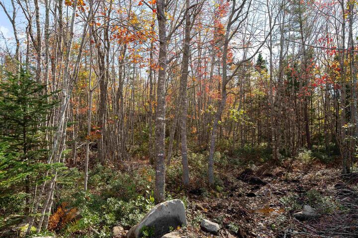 Property Photo: 106 Morton Drive NS B0T 1K0