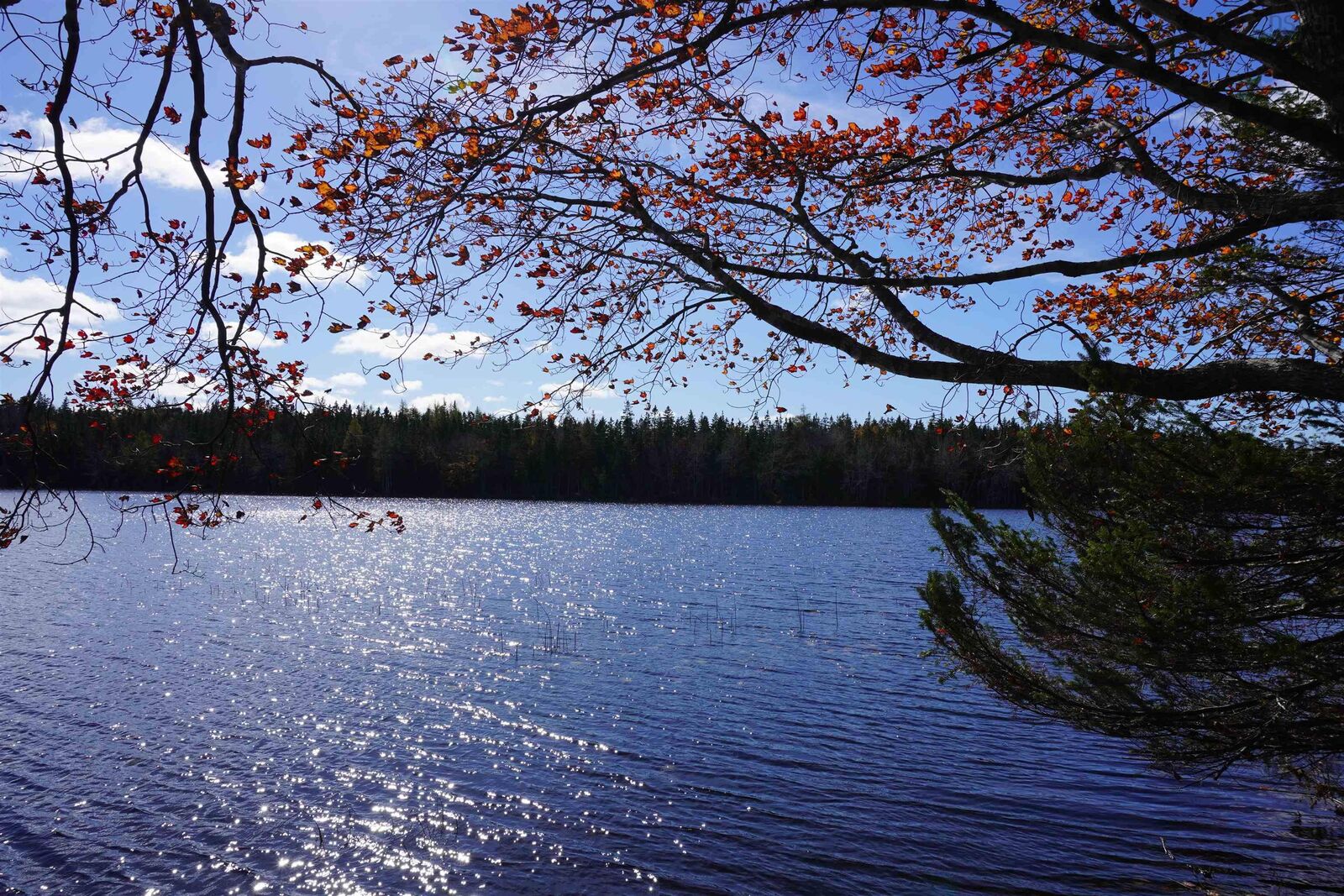 Property Photo:  98-11 Salem Road Gabe Macissac Dr  NS B2E 0A1 