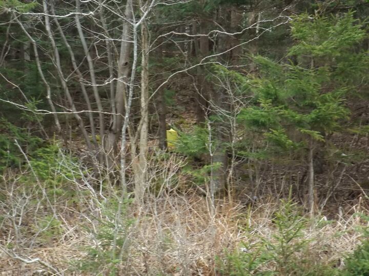 Property Photo:  Roberts Island Road  NS B0W 1W0 