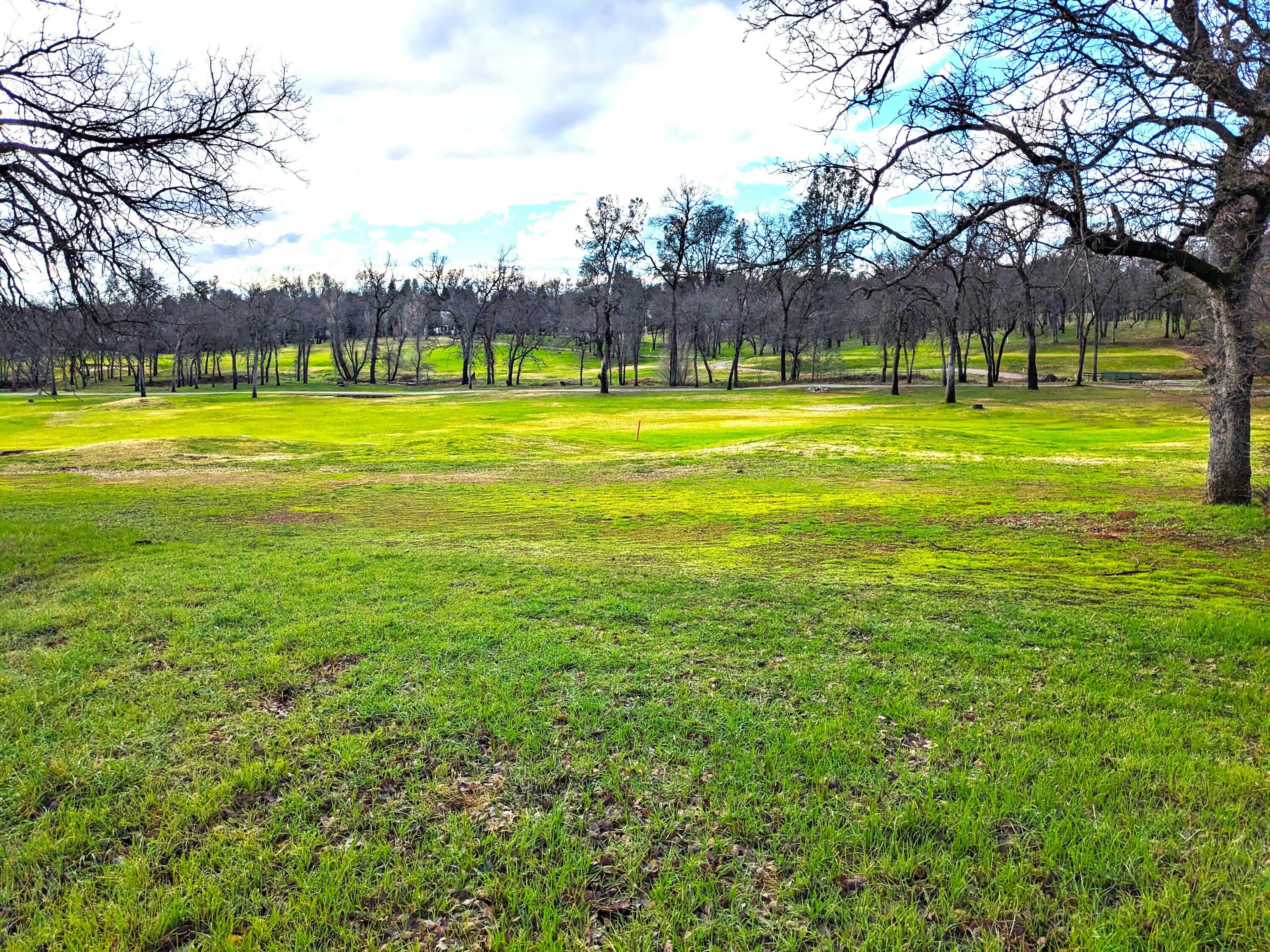19417 Belleterre Drive  Redding CA 96003 photo