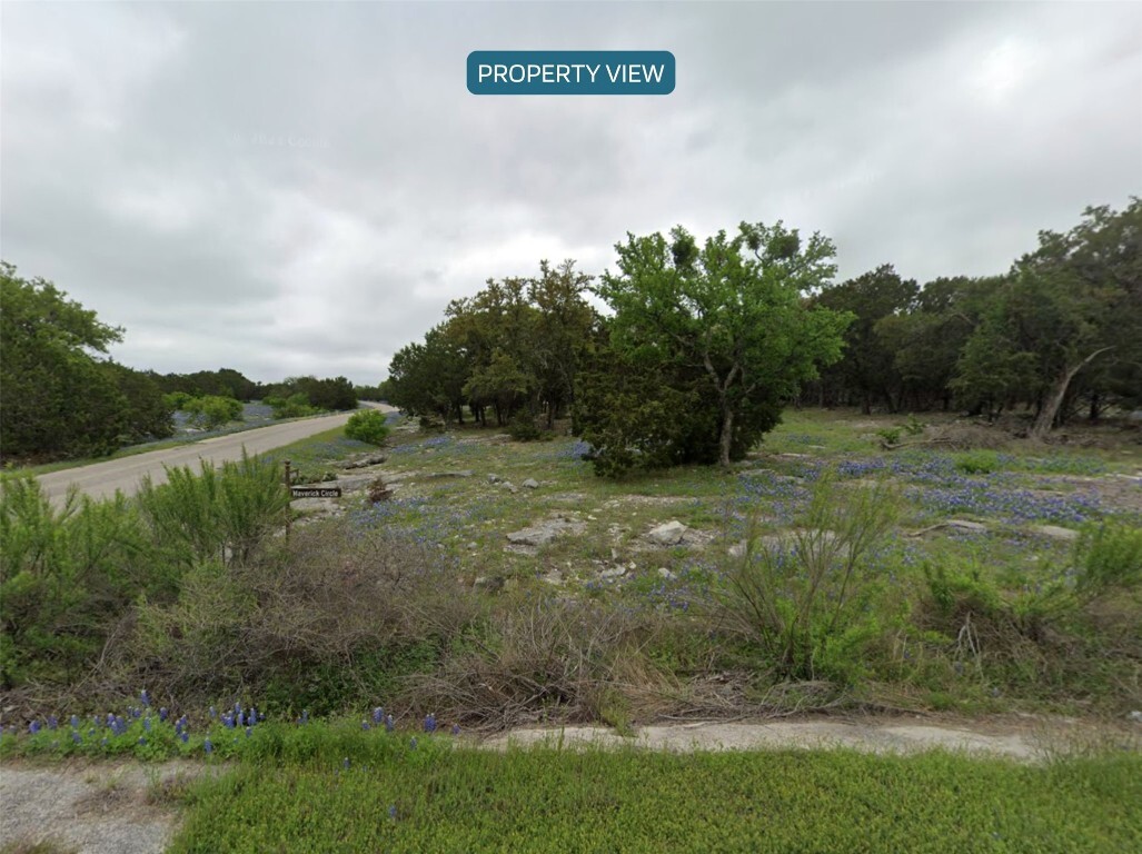 Property Photo: 0 Maverick Circle TX 78657